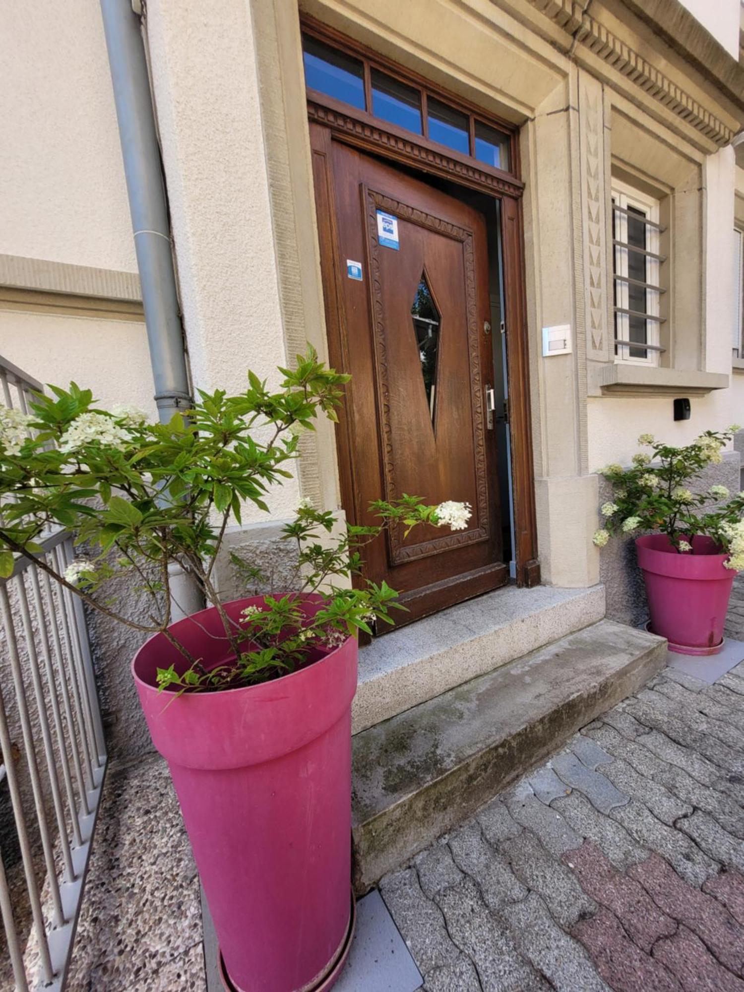 Le Cocon D'Emma, Terrasse, Jardin Et Elegance Dans Maison De Maitre Straßburg Exterior foto